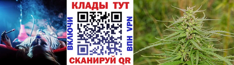 МЕТАДОН Ивангород