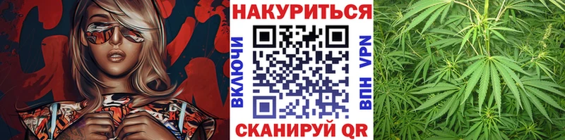магазин продажи omg рабочий сайт Конопля конопля Ивангород